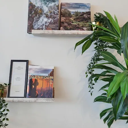 1 Bedroom Awesome In